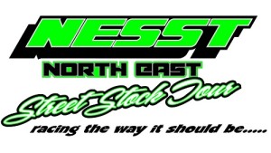 NESST Logo